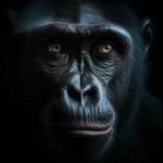 The Monkey