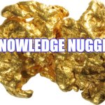 gold nugget | KNOWLEDGE NUGGET | image tagged in gold nugget | made w/ Imgflip meme maker
