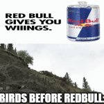 oof | BIRDS BEFORE REDBULL: | image tagged in gifs,redbull,birds,ice cream | made w/ Imgflip video-to-gif maker