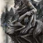 Alpha wolf