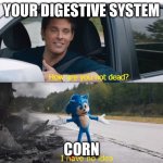 Same with other seed-like objects | YOUR DIGESTIVE SYSTEM; CORN | image tagged in sonic how are you not dead,funny,bodily functions,corn | made w/ Imgflip meme maker
