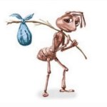 homeless ant