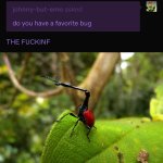 THE FREAKING L O N G