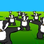 Badger Badger Badger