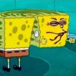 Sponge