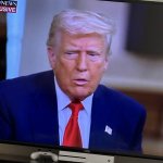 Confused Trump