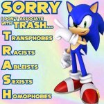 sonic trash