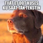 Dog close eye | TIIÄT ET OOT KUSES KU SAAT TÄN TEKSTIN | image tagged in dog close eye | made w/ Imgflip meme maker