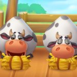 Township cows