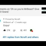 MrBeast comment
