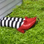 Wizard of Oz wicked witch