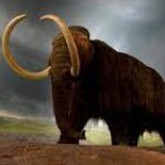WiseMysticalMammoth 2: Electric Boogaloo meme