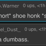 What a dumbass. meme