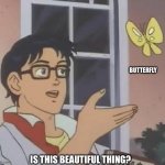 is this butterfly | BUTTERFLY; IS THIS BEAUTIFUL THING? | image tagged in is this butterfly | made w/ Imgflip meme maker