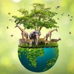 plants animals birds