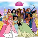 The Group of Fourteen Disney Princesses Backwards