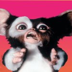 Gizmo Angry