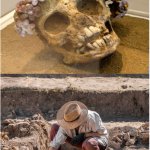 Flower skull