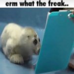 erm what the freak.. template
