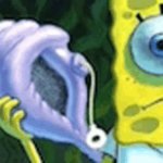 Magic conch