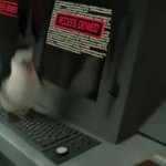 recruta jumping on keyboard GIF Template