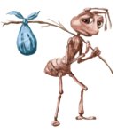 ant getting kicked out