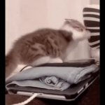 Car GIF Template
