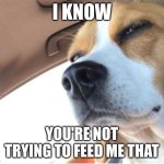 Deep Thinking Dog | I KNOW; YOU'RE NOT TRYING TO FEED ME THAT | image tagged in deep thinking dog,lies,how many other lies have i been told by the council,bad pun dog,government | made w/ Imgflip meme maker