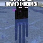uhh, guys is this normal? | HELP I FORGOR HOW TO ENDERMEN | image tagged in cursed enderman | made w/ Imgflip meme maker