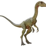 Compsognathus 9
