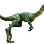Compsognathus 10