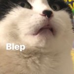 Blep
