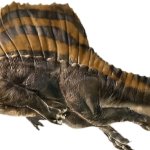 Spinosaurus 3 (JWR Design)
