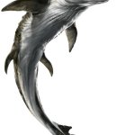 Mosasaurus (JWR Design)