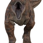Carnotaurus 6 (JWFK Design)