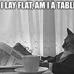 big brain | IF I LAY FLAT, AM I A TABLE? | image tagged in memes,i should buy a boat cat | made w/ Imgflip meme maker