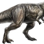 Tyrannosaurus Rex 2 (JWR Design)