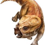 Aquilops (JWR Design)