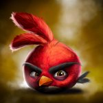 Angry bird ruby