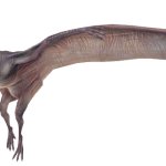 Pteranodon 5 (JW Design)