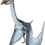 Quetzalcoatlus (JWTG Design)