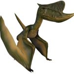 Dsungaripterus (JWE Design)