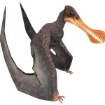 Tropeognathus (JWTG Design)
