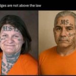 Dems13 judges