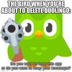 Spanish or Vanish | THE BIRD WHEN YOU'RE ABOUT TO DELETE DUOLINGO:; Do you want to keep this app or do you want to keep your kneecaps? | image tagged in spanish or vanish | made w/ Imgflip meme maker