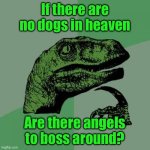 Philosoraptor | If there are no dogs in heaven; Are there angels to boss around? | image tagged in memes,philosoraptor | made w/ Imgflip meme maker