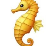 seahorse emoji