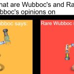 Wubboc's and Rare Wubboc's opinions on X