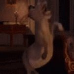low quality donkey screaming