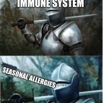 Knight with arrow in helmet | MY IRONCLAD IMMUNE SYSTEM; SEASONAL ALLERGIES | image tagged in knight with arrow in helmet | made w/ Imgflip meme maker